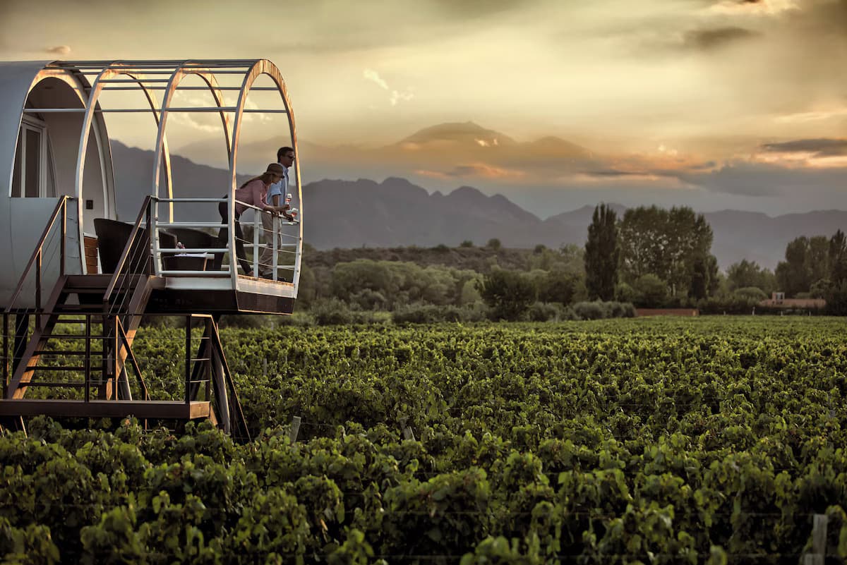 Cena y servicio de vinos en el viaje VIAJE GOURMET